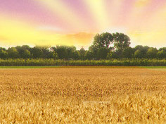 九游手机版下载基地展示3