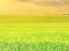 九游手机版下载基地展示1